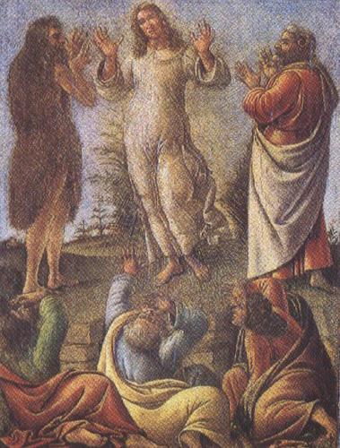 Sandro Botticelli Transfiguration,wtih St jerome and St Augustine (mk36) oil painting image